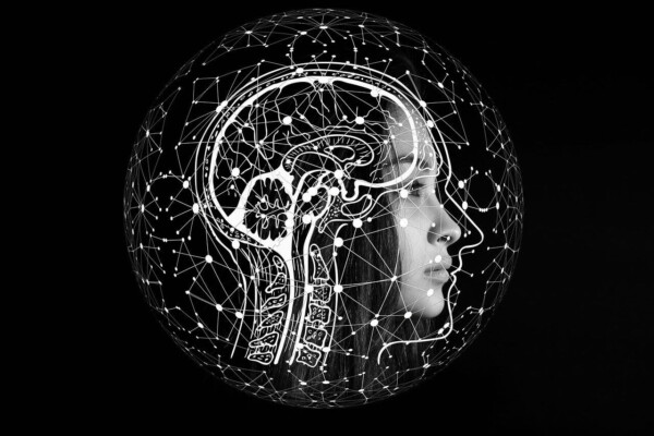 black and white image of the human brain