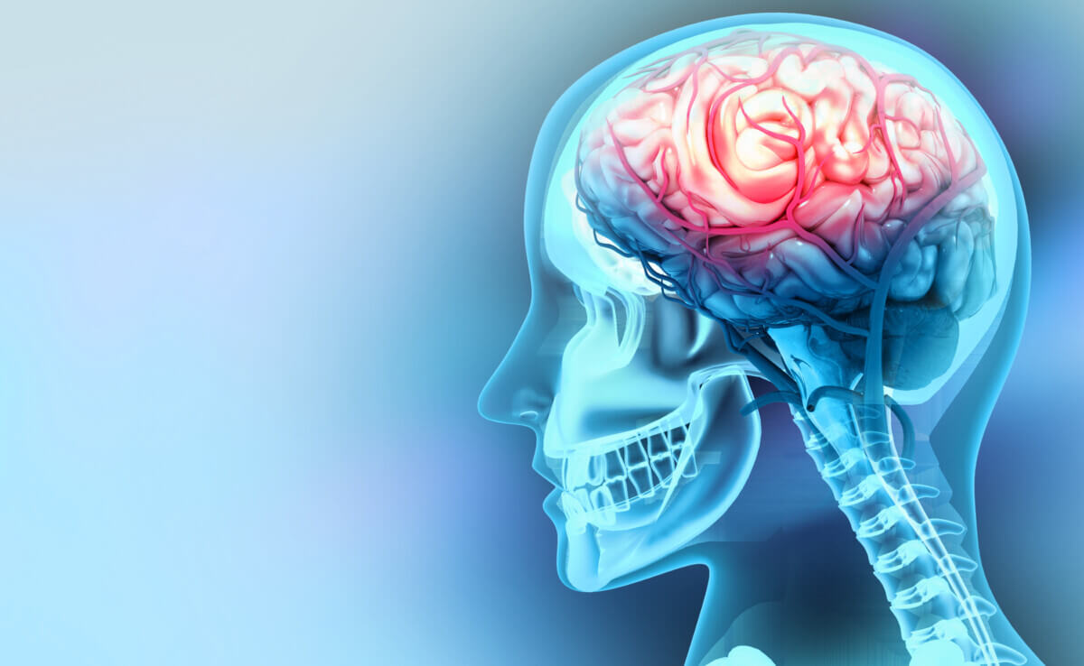 Human brain injury