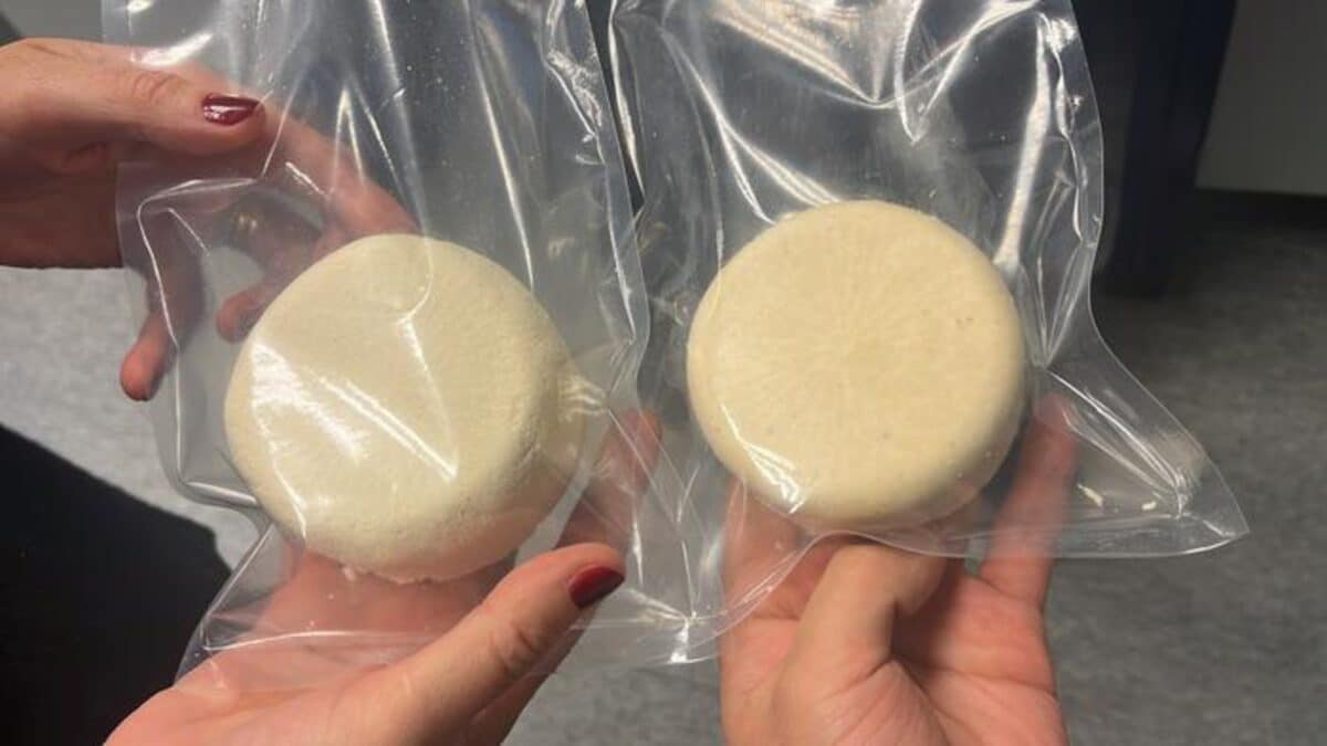 Hybrid cheese