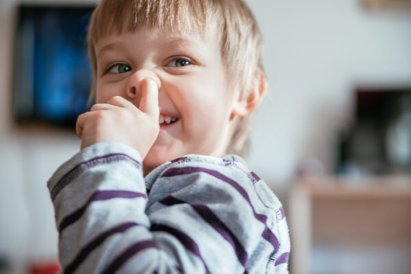 Boy Looking At The Camera And Picking His Nose