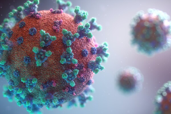 Coronavirus / COVID-19