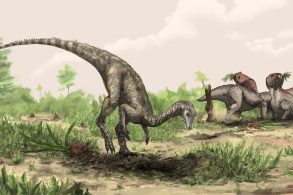 Nyasasaurus could be the earliest known dinosaur, or else a close relative of early dinosaurs.