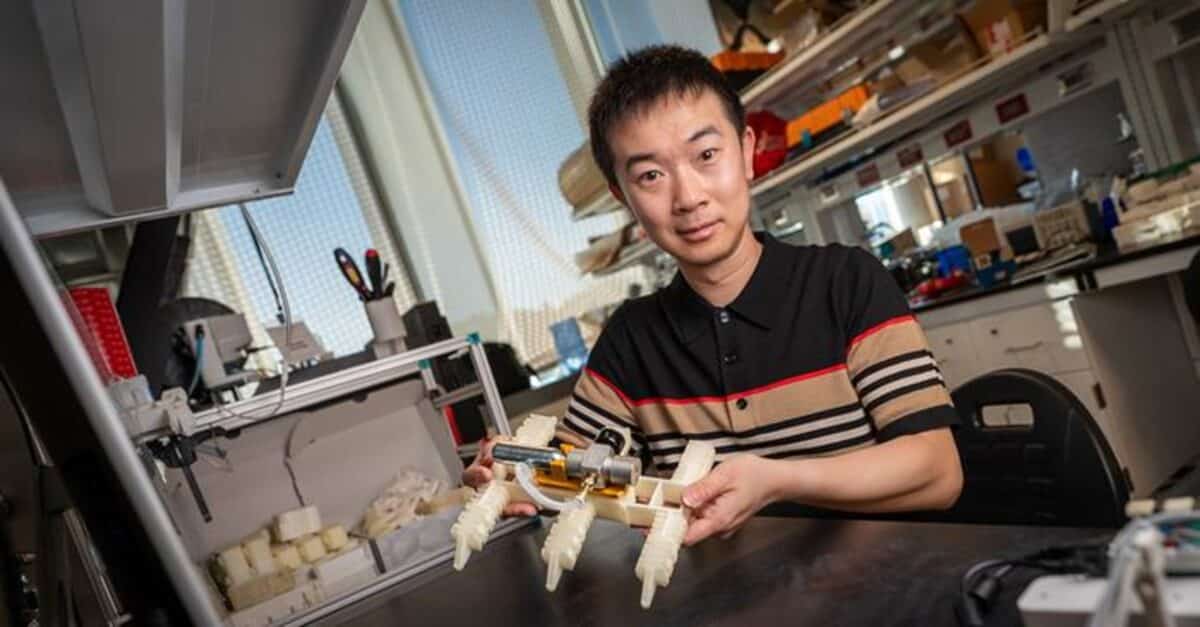 Robotics scientist